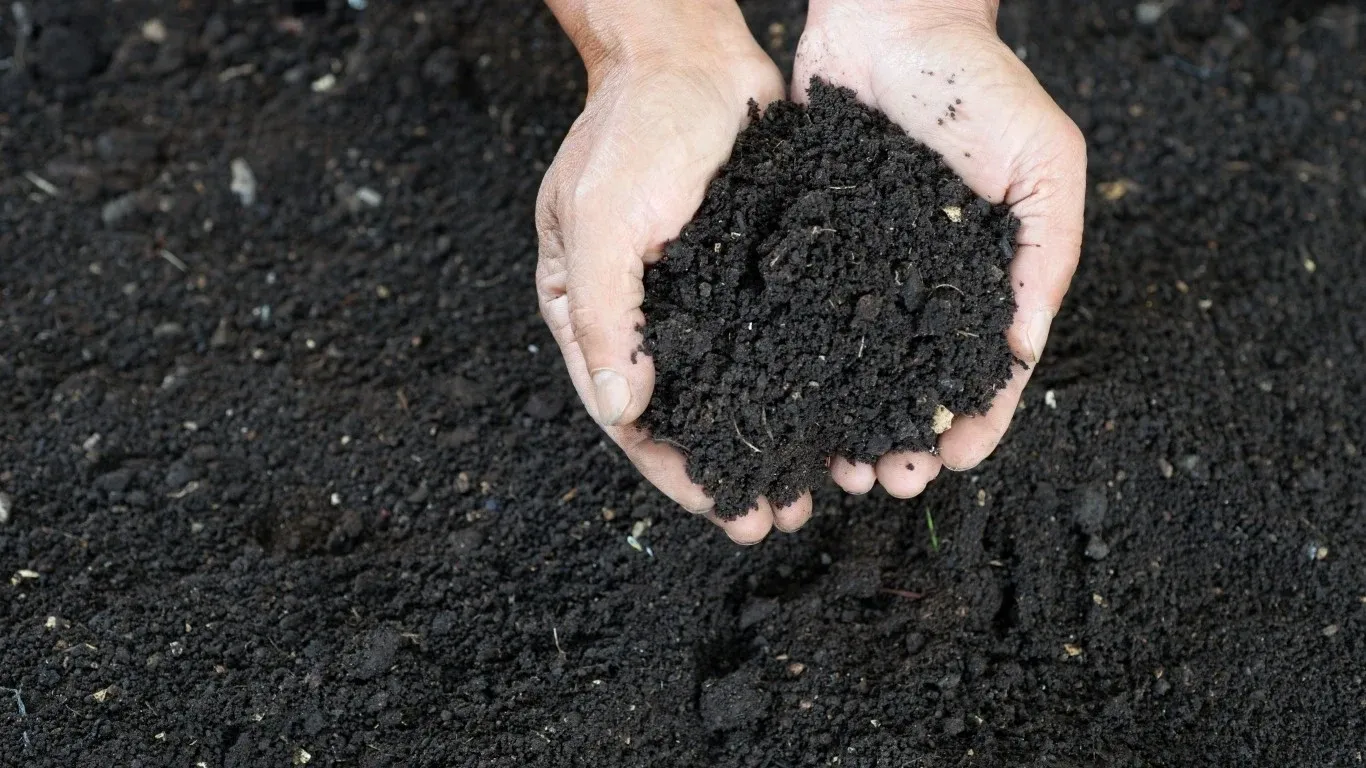 huumus muld turps organic