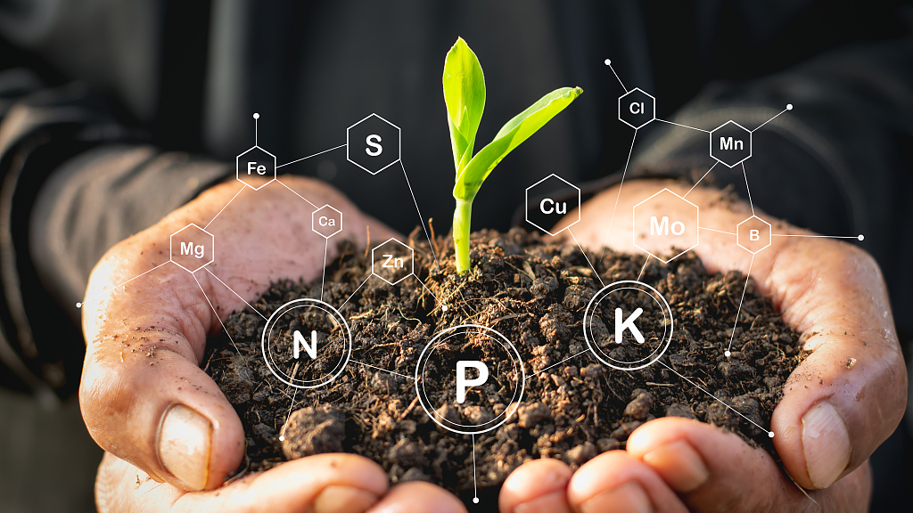 turps mullaparandaja