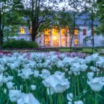 kirna mõis tulbifestival turps. mullaparandaja lilledele