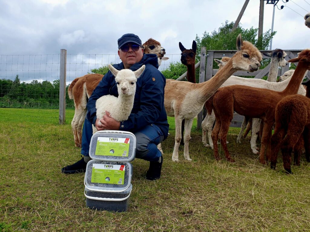 turps wile alpakafarm avatud talude päev 2025