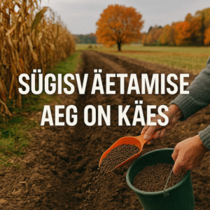 sügisväetamine-turps-mullaparandaja