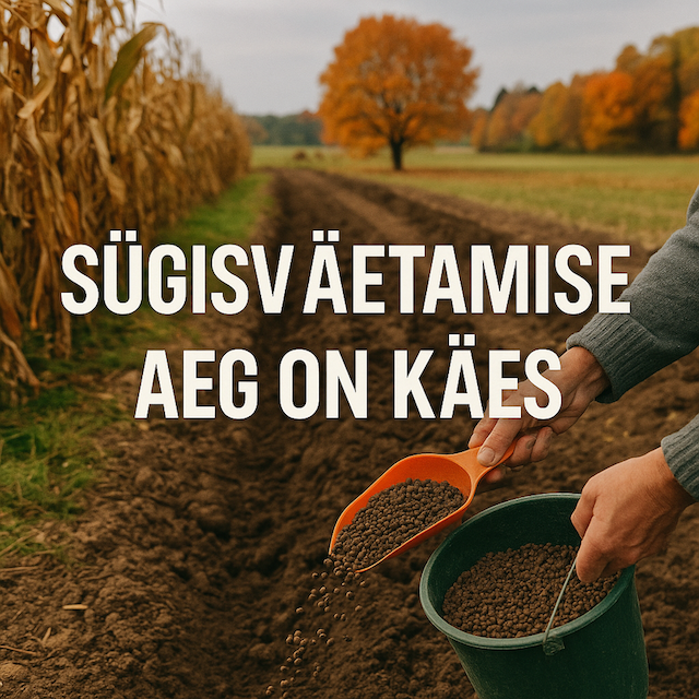 sügisväetamine-turps-mullaparandaja